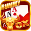 online rummy free game icon